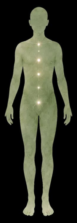 Silhouette of a person